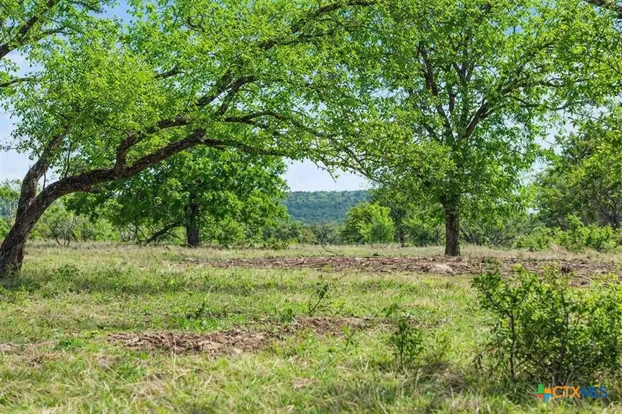 4772-10 County Road 340, Burnet, TX 76905 - #2