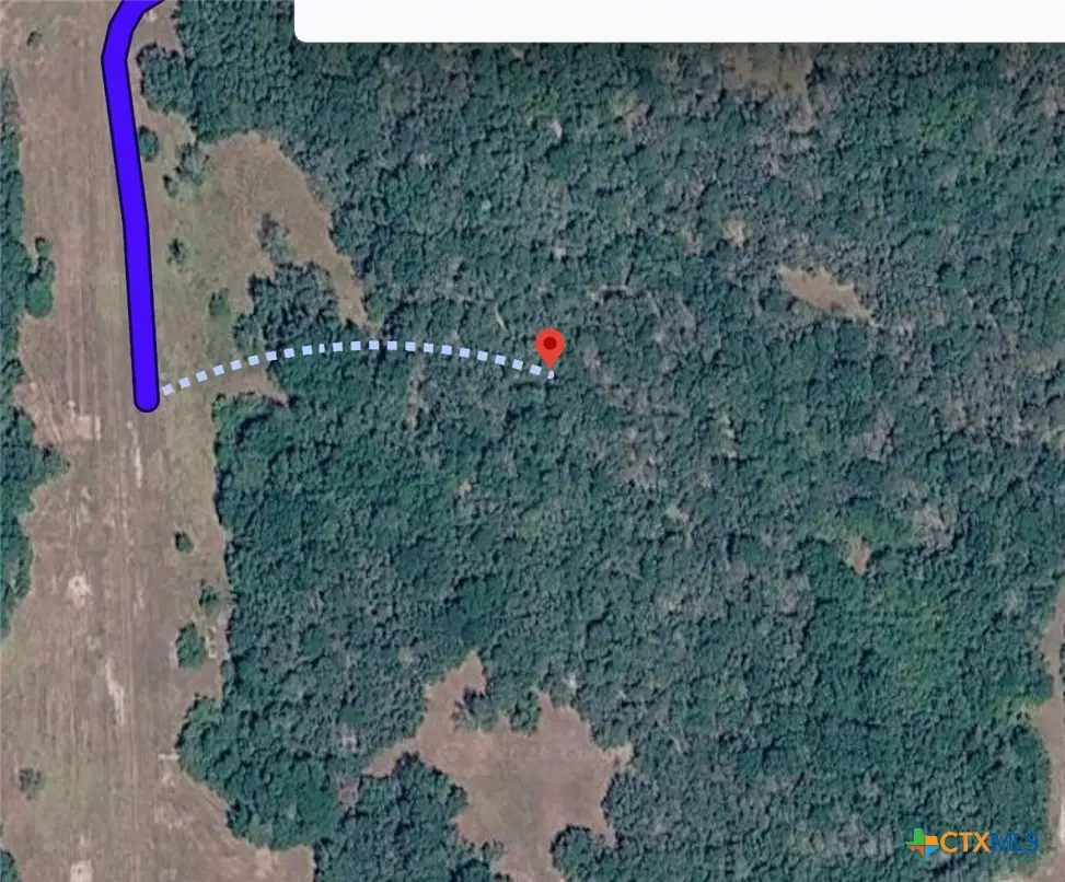 TBD County Road 445, Francitas, TX 77961 - #1