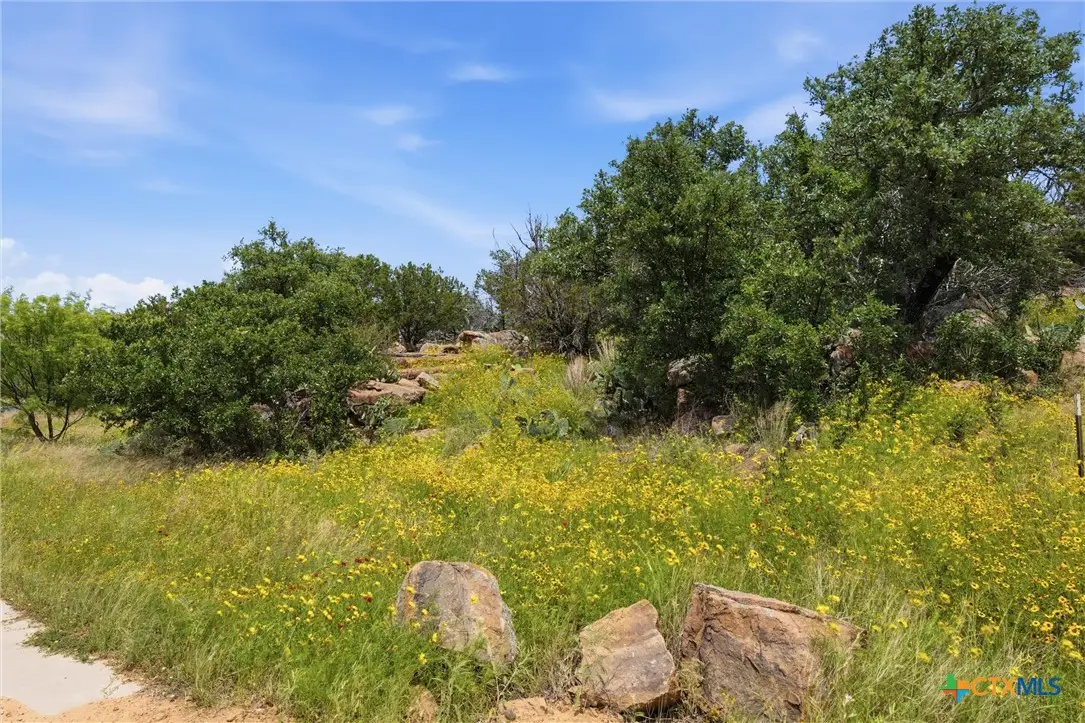 Lot 30 Peninsula Drive, Burnet, TX 78611 - #1