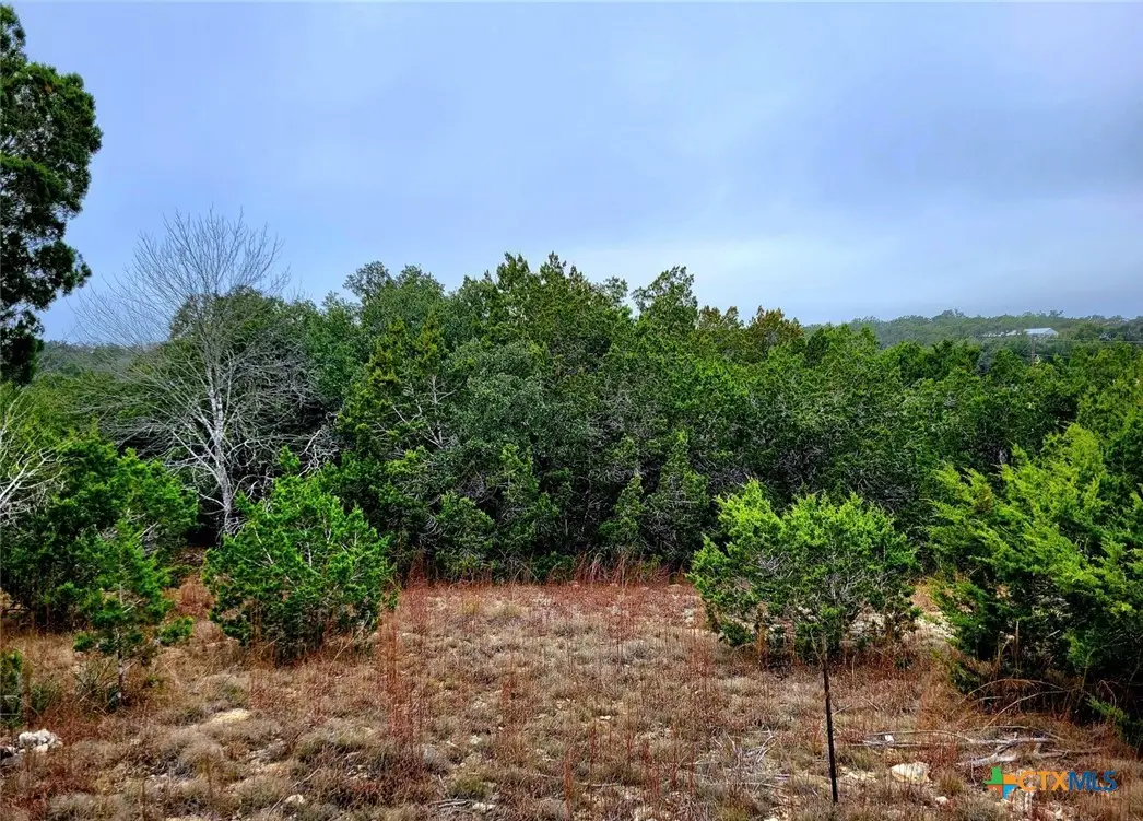 193 Appaloosa Drive, Fischer, TX 78623 - #1