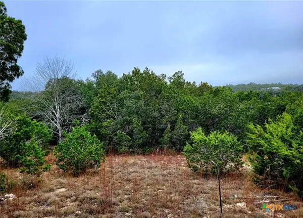 193 Appaloosa Drive, Fischer, TX 78623