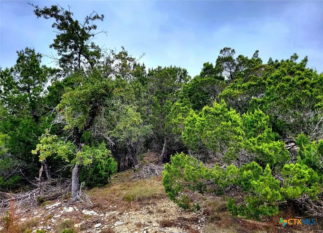 171 Appaloosa Drive, Fischer, TX 78623 - #1