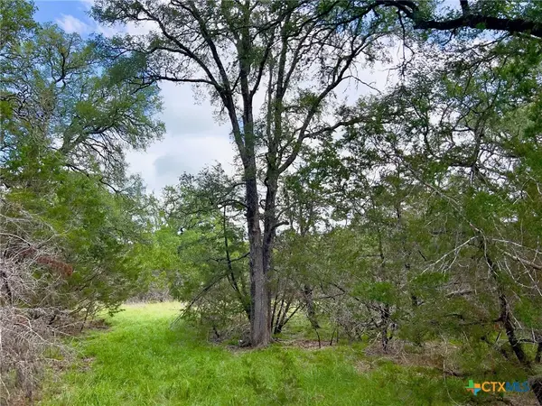 TBD Lot 43A Narrows Road #1, Blanco, TX 78606