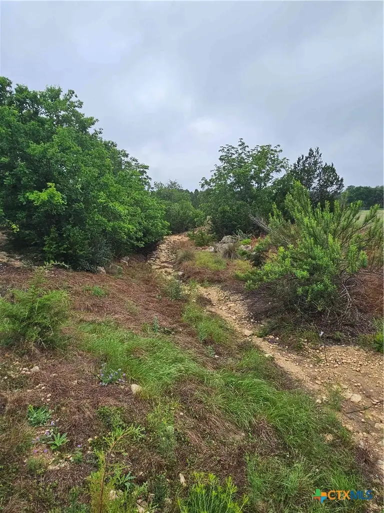 LOT 14 Cielo Springs Drive, Blanco, TX 78606 - #3
