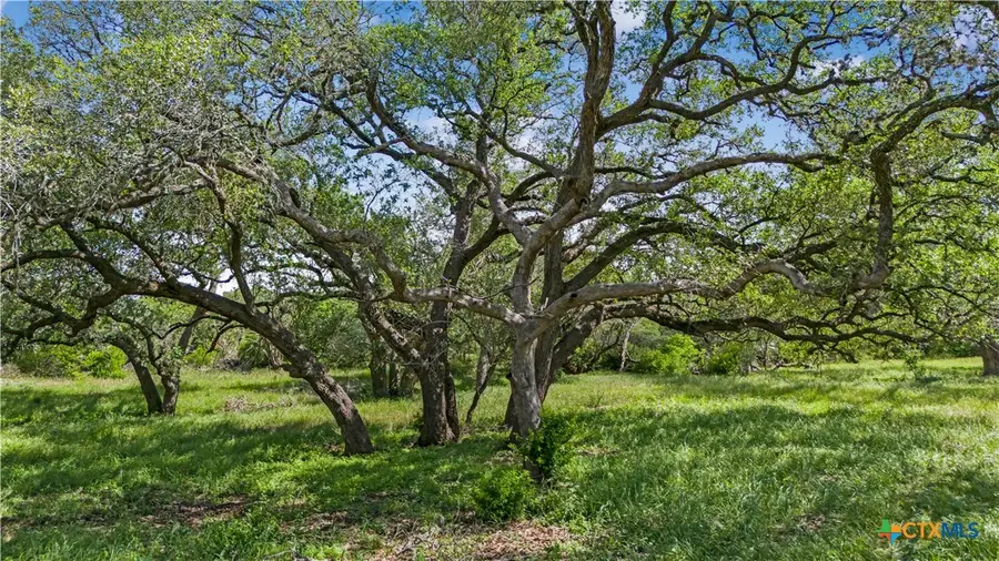 5394 Fm 237, Meyersville, TX 77974 - #2