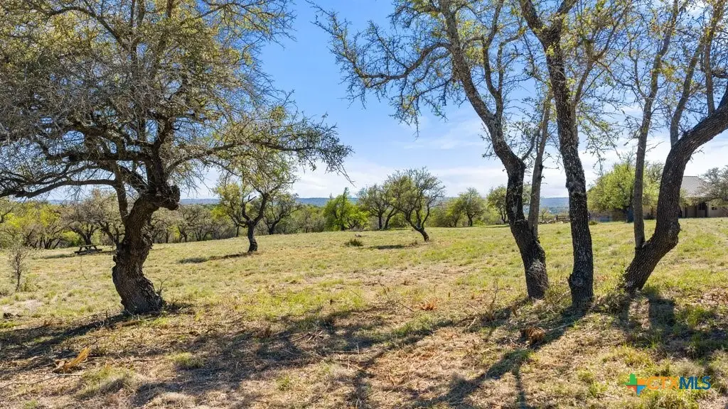 Lot 19 Stone Ridge Mountain Drive, Round Mountain, TX 78663 - #1