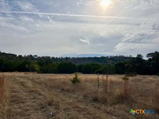 TBD County Road 3270, Kempner, TX 76539 - #3