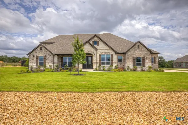 10696 Chestnut Warbler, New Braunfels, TX 78132