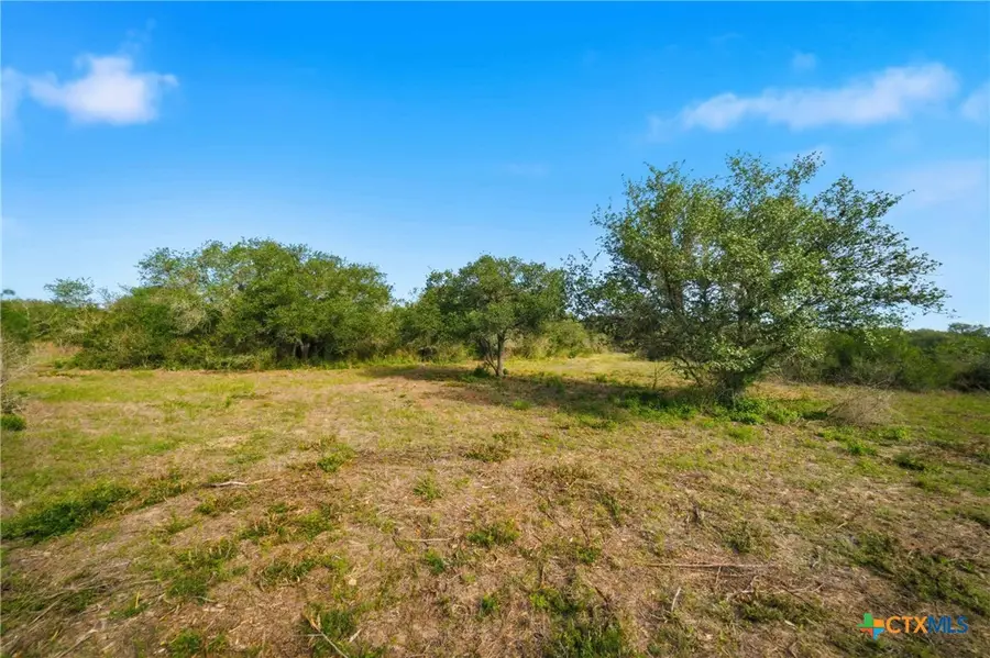 00 Franke Rd, Goliad, TX 77963 - #3