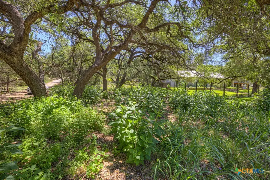 130 Lazy Leaf, Wimberley, TX 78676 - #3