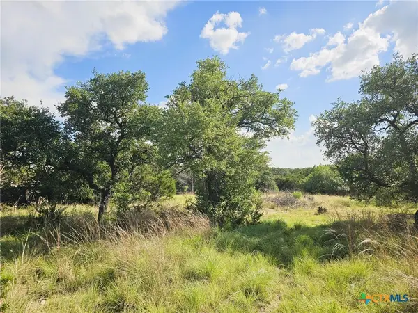 100 Reavis Drive, Kempner, TX 76539
