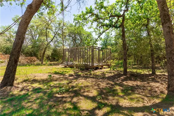 224 Pine Valley Dr, Paige, TX 78659