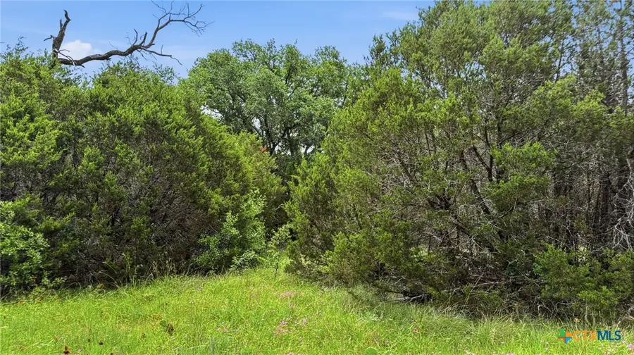 Lot 136 Ph 6 Pr 42101, Evant, TX 76525 - #2