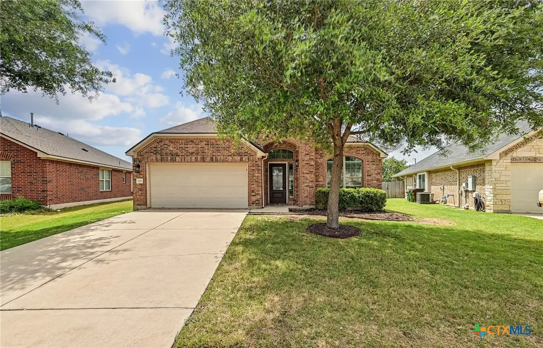1441 Rainbow Parke Drive, Round Rock, TX 78665 - #1