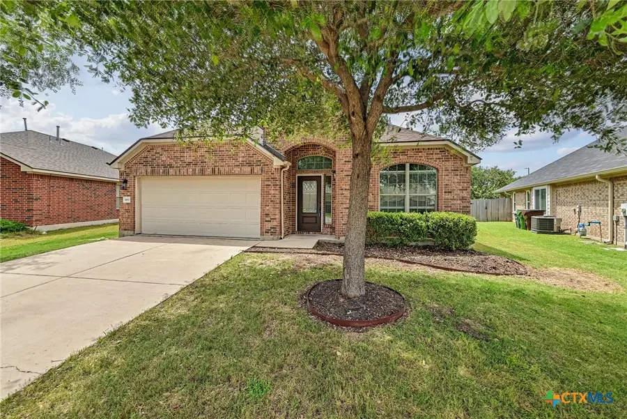 1441 Rainbow Parke Drive, Round Rock, TX 78665 - #2