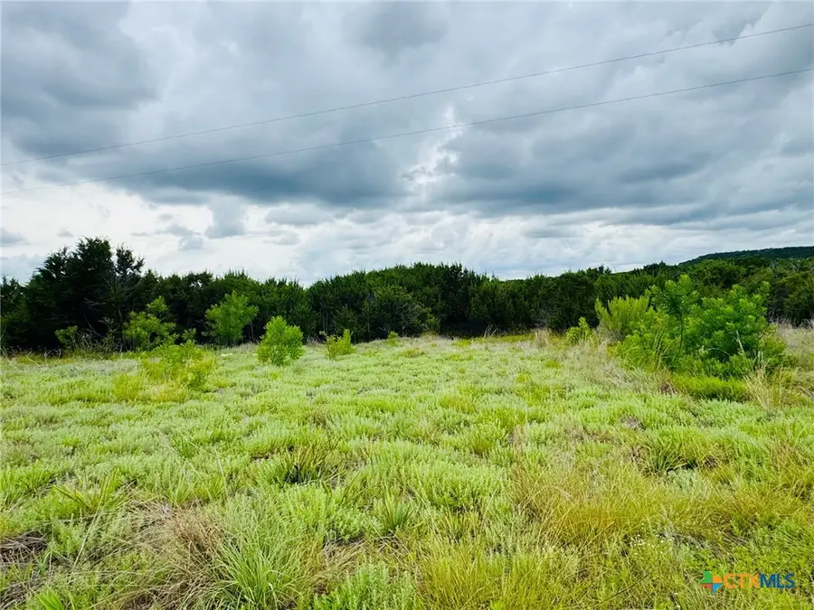 1780 County Road 147, Gatesville, TX 76528 - #2