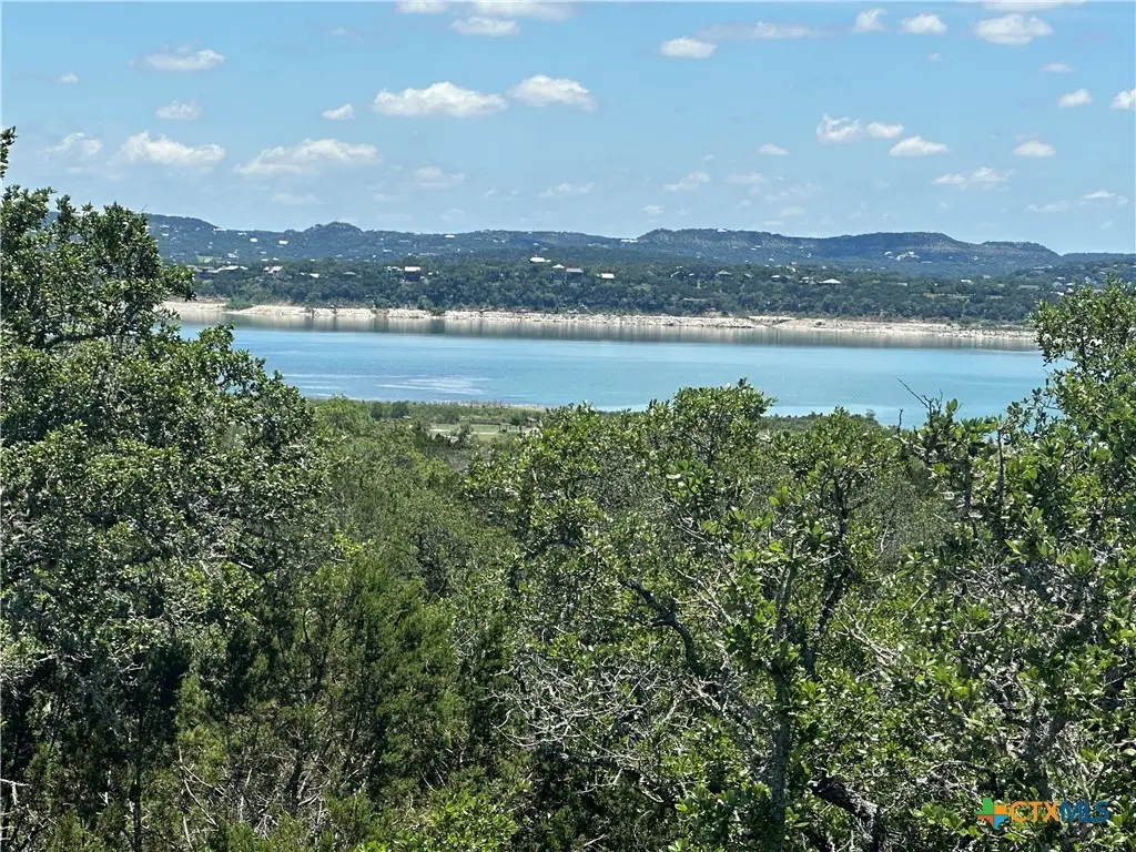 1251 Limerick Lane, Canyon Lake, TX 78133 - #1