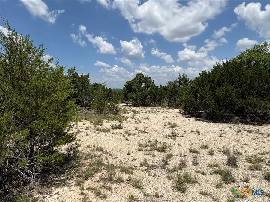 317 County Road 3062, Lampasas, TX 76550 - #2