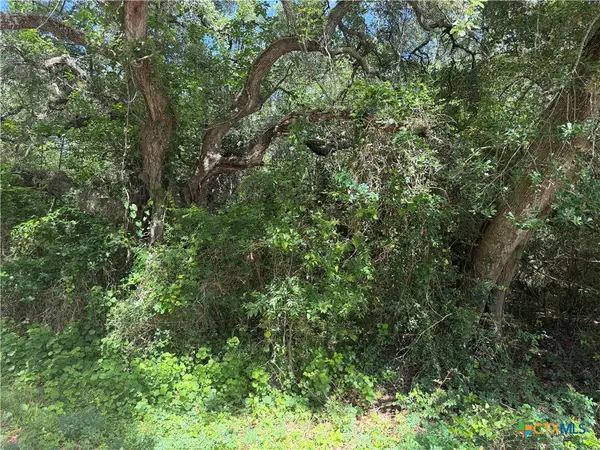 Lot 529 Grand Oak Street, Palacios, TX 77465