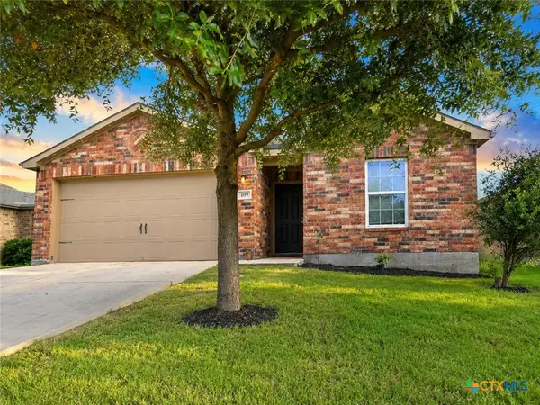 109 Proclamation Avenue, Liberty Hill, TX 78642