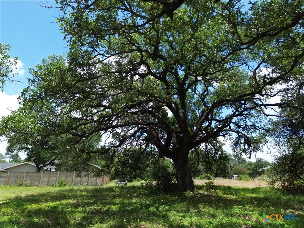 731 Santa Maria Road, Salado, TX 76571 - #1