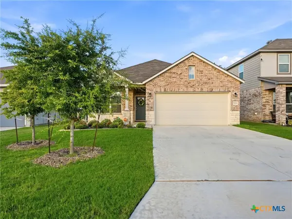 953 Willowbrook Avenue, New Braunfels, TX 78130