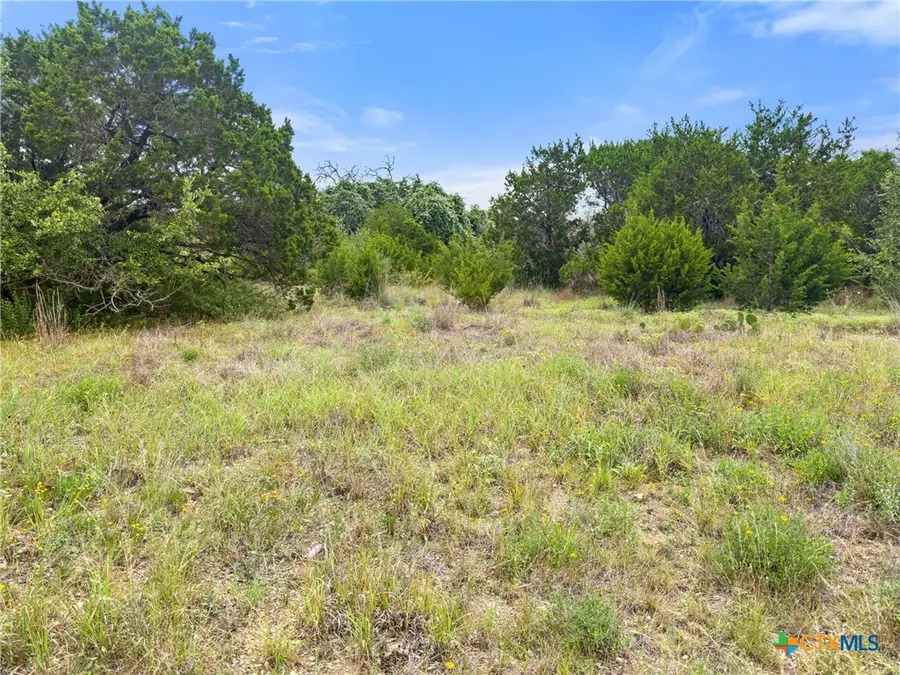 419 Cielo Vista, Canyon Lake, TX 78133 - #2
