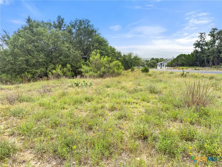 419 Cielo Vista, Canyon Lake, TX 78133 - #3