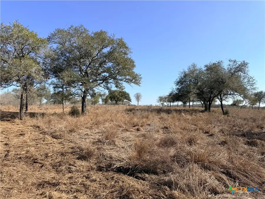 1776 Fm 1351, Goliad South, TX 78746 - #3