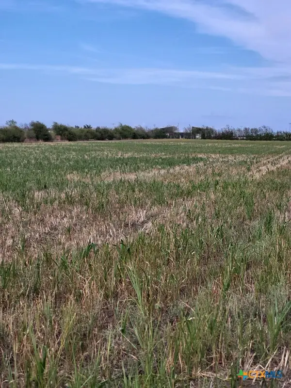 1701 W Fm 487, Jarrell, TX 76537