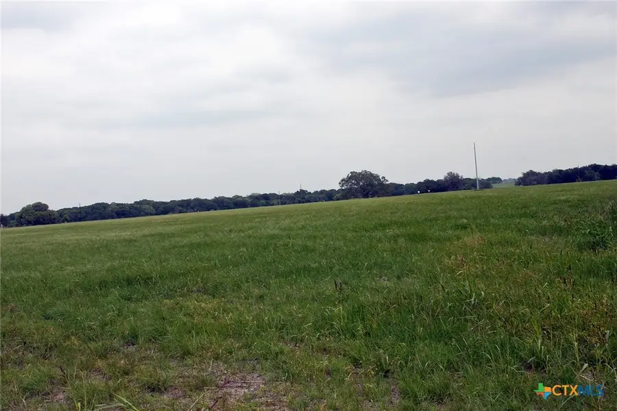 00 Brushy Branch Road, Lockhart, TX 78644 - #3