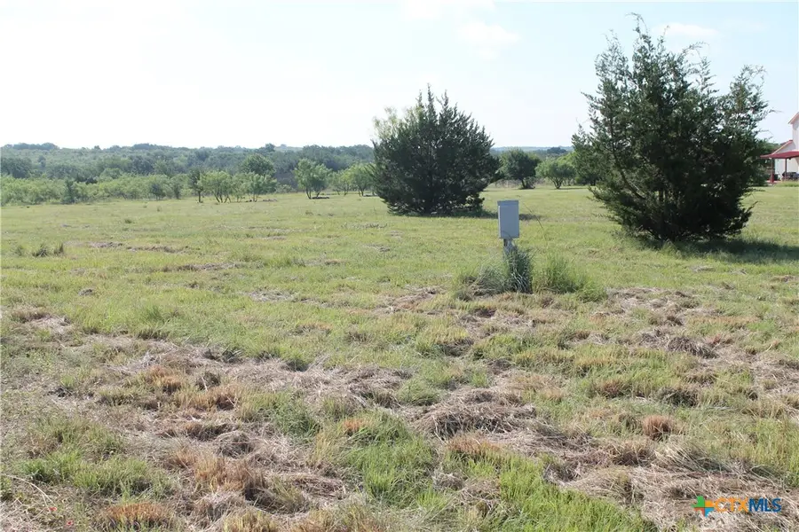 688 Comanche Lake Road, Comanche, TX 76442 - #3
