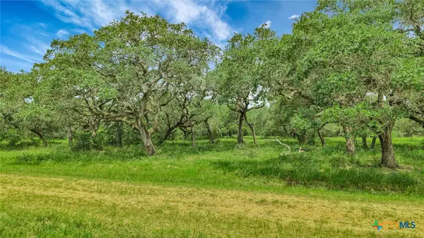 000 Fm 444, Inez, TX 77968