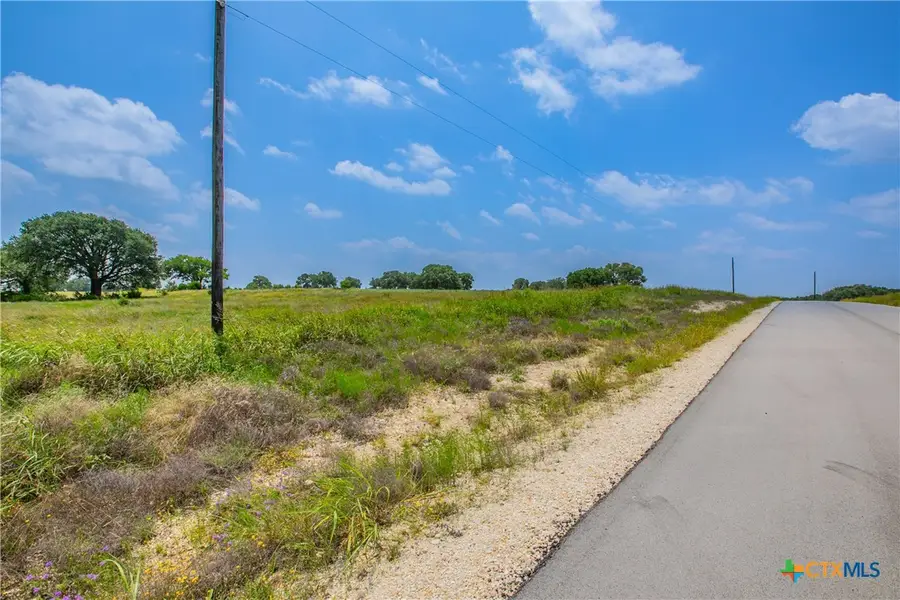 181 Guadalupe Drive, Oglesby, TX 76561 - #3