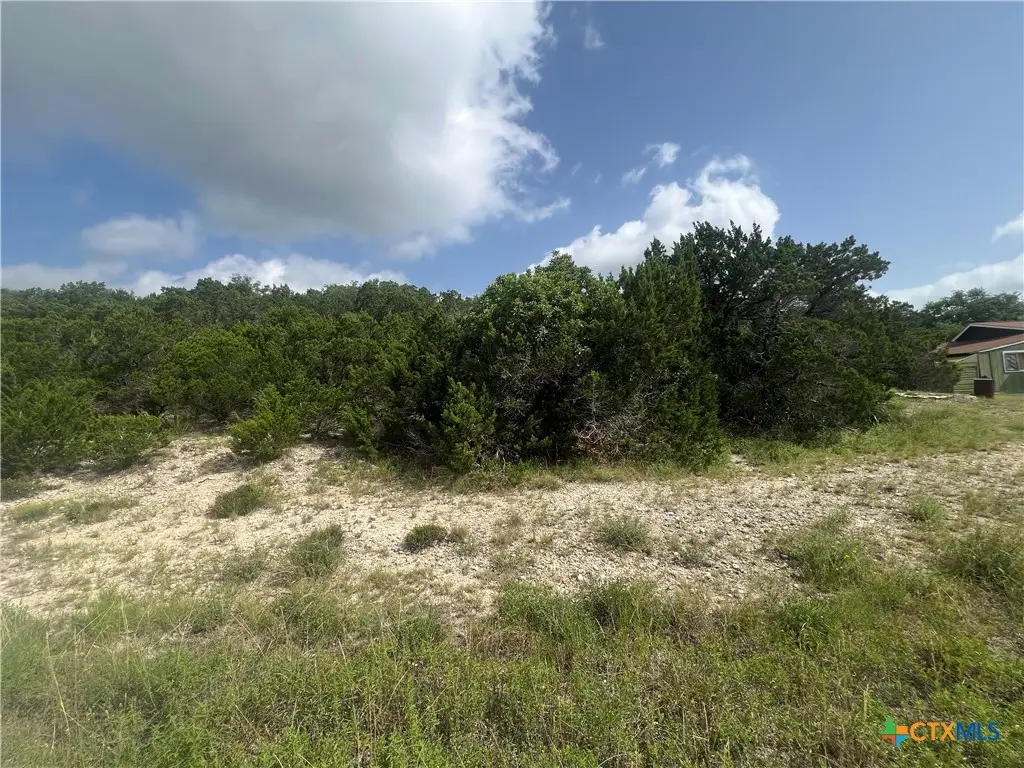 268 Scenic Hills Drive, Canyon Lake, TX 78133 - #1
