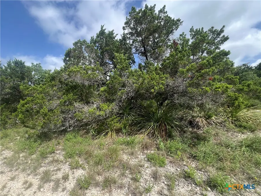 268 Scenic Hills Drive, Canyon Lake, TX 78133 - #3