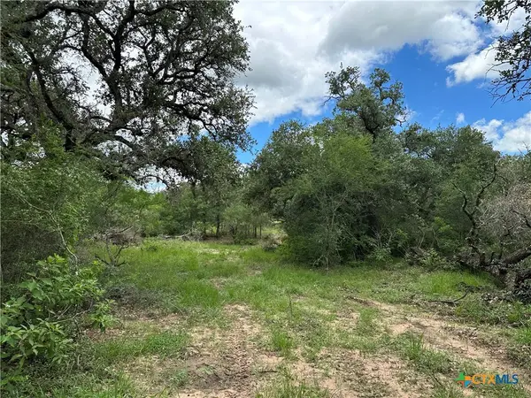 5 Burlin Lane, Meyersville, TX 77974