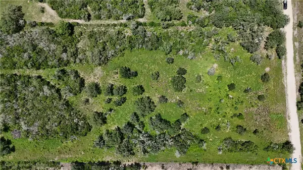 TBD Fm 1351, Goliad, TX 77963