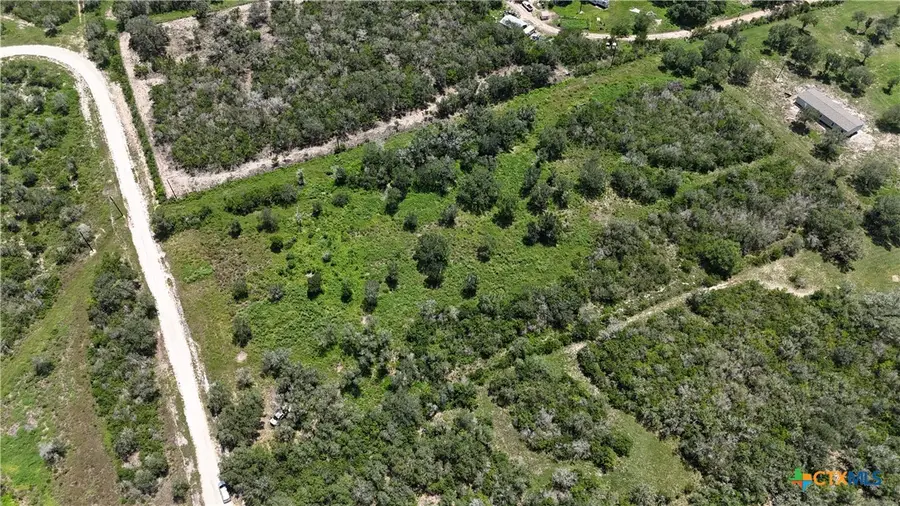 TBD Fm 1351, Goliad, TX 77963 - #2