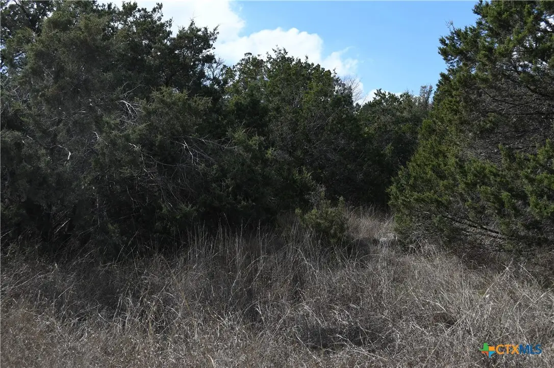 979 & 987 Deer Valley Pass, Spring Branch, TX 78070 - #1
