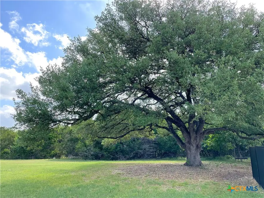 3045 Rolling Meadow Drive, Salado, TX 76571 - #2