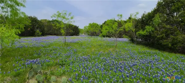 9680 Us Hwy 190 E, Kempner, TX 76539