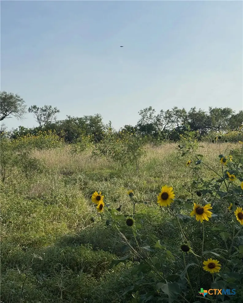 4567 Luther Road, Seguin, TX 78155 - #3