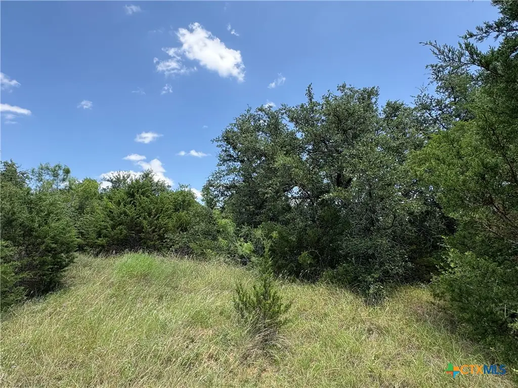 0 County Road 303, Bertram, TX 78605 - #1