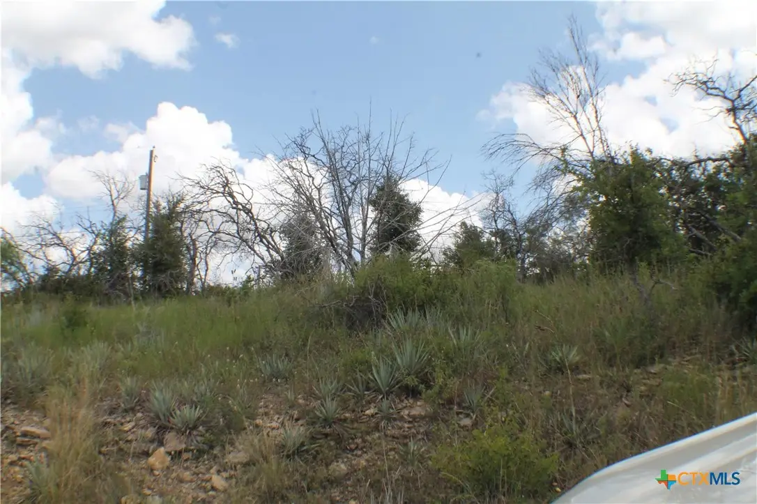 0 Newcastle Dr, Brownwood, TX 76801 - #1