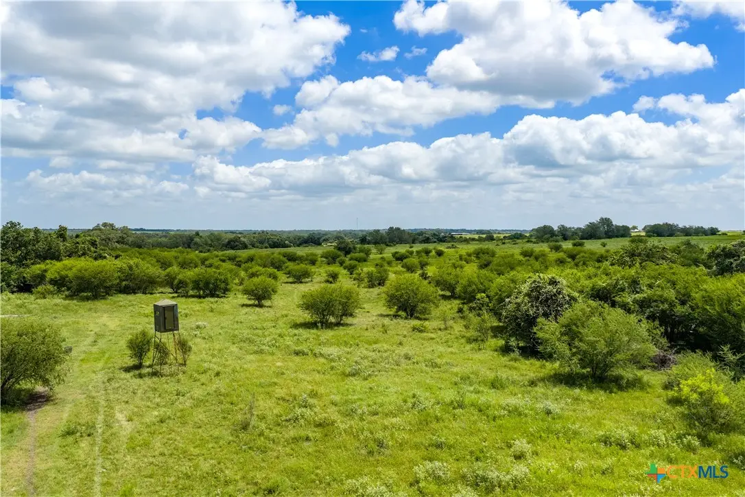 596 Hallemann Road, Goliad, TX 77963 - #1