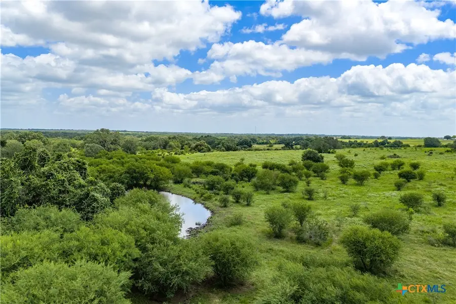 596 Hallemann Road, Goliad, TX 77963 - #3