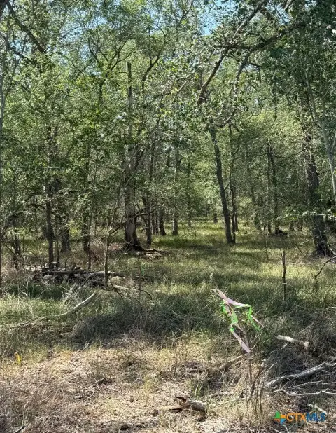 421 Kerr Avenue, Sutherland Springs, TX 78161 - #1