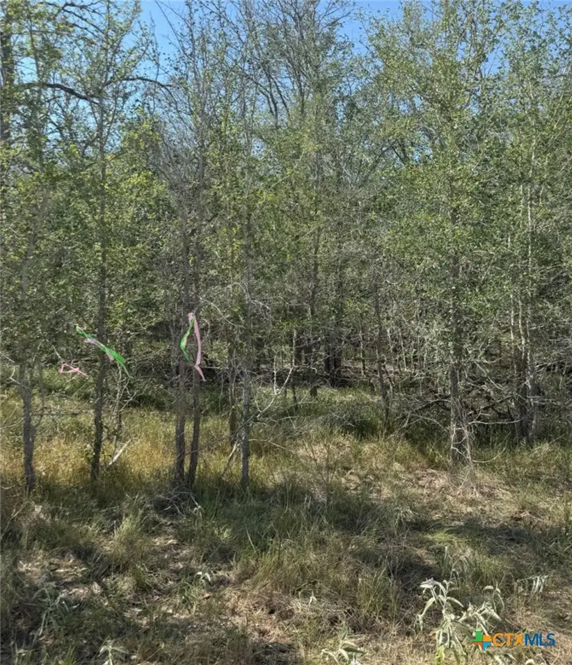 421 Kerr Avenue, Sutherland Springs, TX 78161 - #2