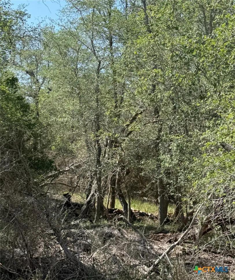 421 Kerr Avenue, Sutherland Springs, TX 78161 - #3